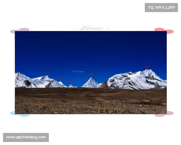 北美洲杯赛的独特魅力与挑战探索:从竞争激烈到文化碰撞的深度解析